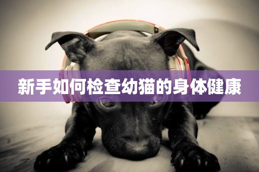 新手如何檢查幼貓的身體健康