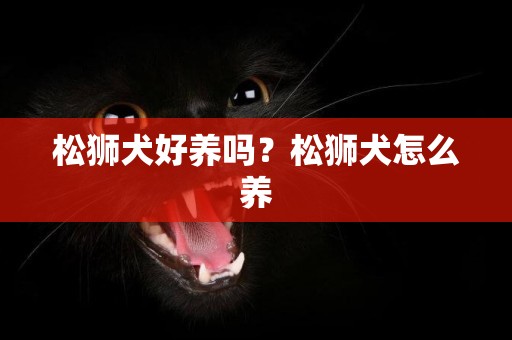 松獅犬好養嗎？松獅犬怎么養