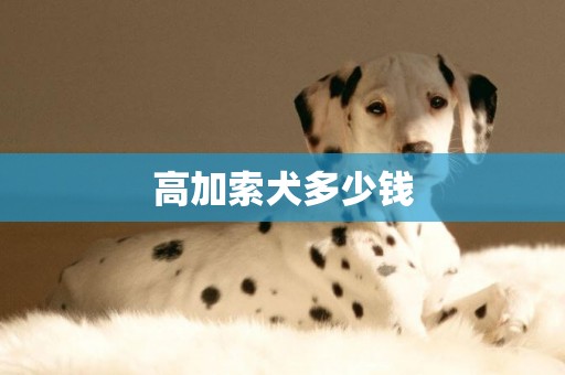 高加索犬多少錢