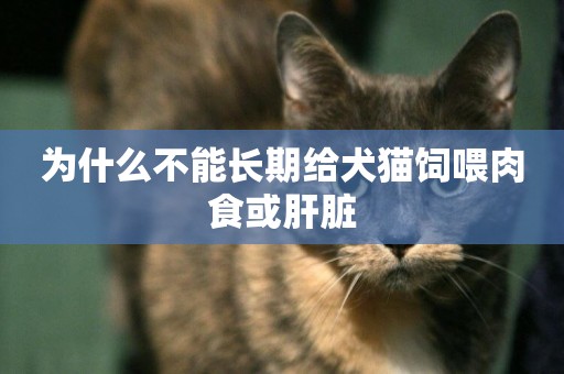 為什么不能長期給犬貓飼喂肉食或肝臟
