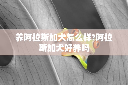 養阿拉斯加犬怎么樣?阿拉斯加犬好養嗎