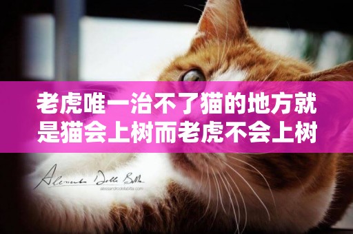 老虎唯一治不了貓的地方就是貓會上樹而老虎不會上樹，是這樣嗎