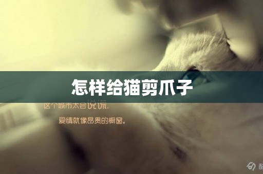 怎樣給貓剪爪子
