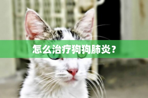 怎么治療狗狗肺炎？