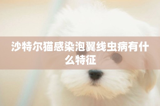 沙特爾貓感染泡翼線蟲病有什么特征