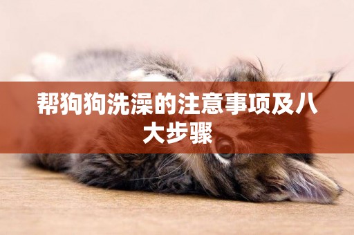幫狗狗洗澡的注意事項及八大步驟