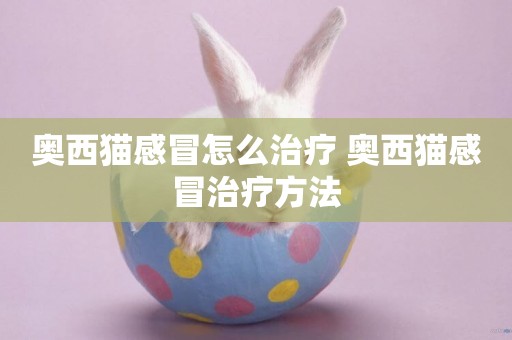 奧西貓感冒怎么治療 奧西貓感冒治療方法