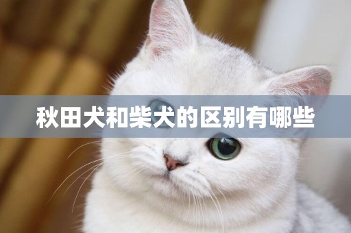 秋田犬和柴犬的區別有哪些