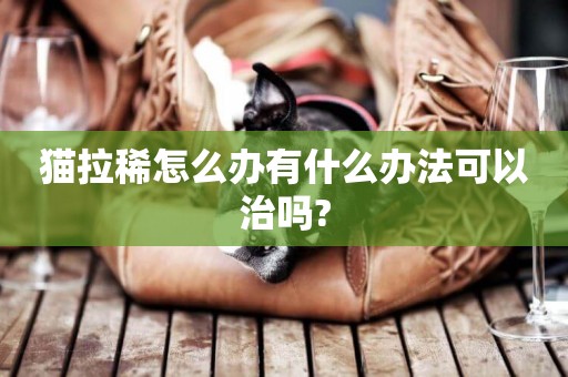 貓拉稀怎么辦有什么辦法可以治嗎?