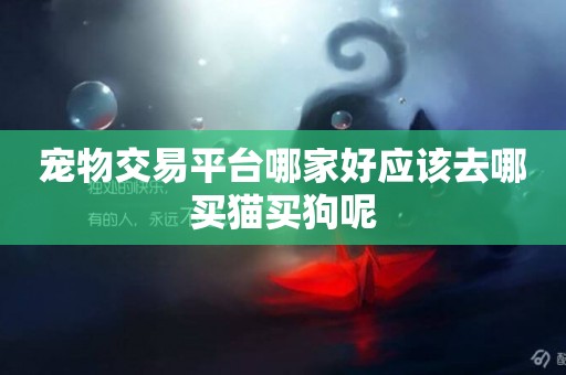 寵物交易平臺哪家好應該去哪買貓買狗呢