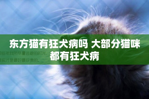 東方貓有狂犬病嗎 大部分貓咪都有狂犬病