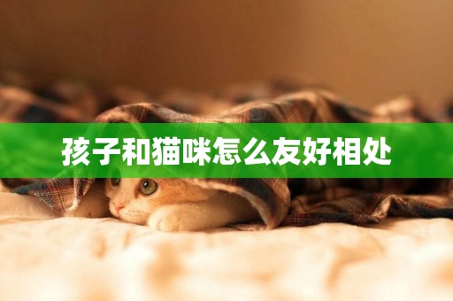 孩子和貓咪怎么友好相處
