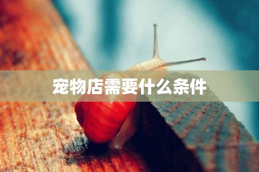 寵物店需要什么條件