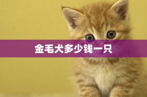 金毛犬多少錢一只