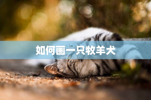 如何畫一只牧羊犬
