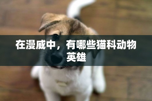 在漫威中，有哪些貓科動物英雄