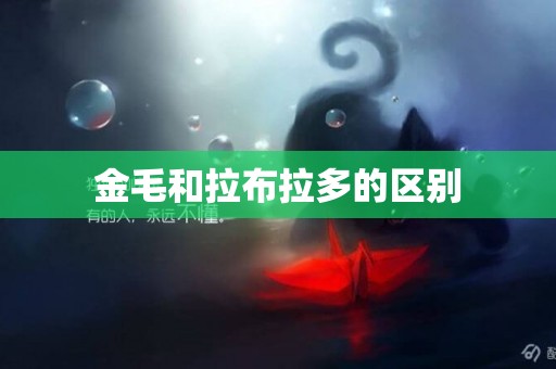 金毛和拉布拉多的區別