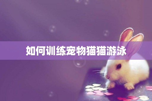 如何訓練寵物貓貓游泳