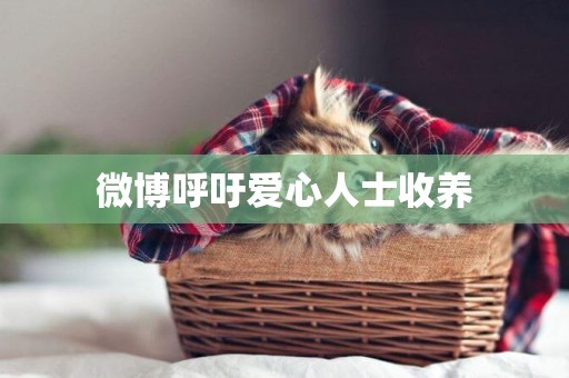 微博呼吁愛心人士收養