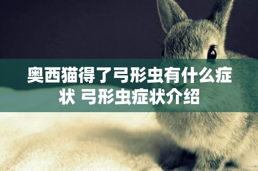 奧西貓得了弓形蟲有什么癥狀 弓形蟲癥狀介紹