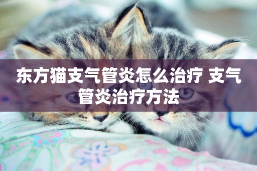 東方貓支氣管炎怎么治療 支氣管炎治療方法