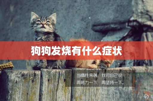 狗狗發燒有什么癥狀