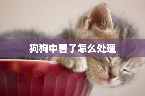 狗狗中暑了怎么處理