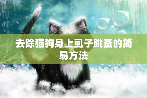 去除貓狗身上虱子跳蚤的簡易方法