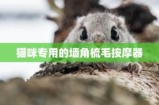 貓咪專用的墻角梳毛按摩器