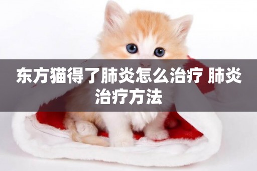 東方貓得了肺炎怎么治療 肺炎治療方法