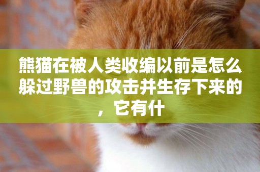 熊貓在被人類收編以前是怎么躲過野獸的攻擊并生存下來的，它有什