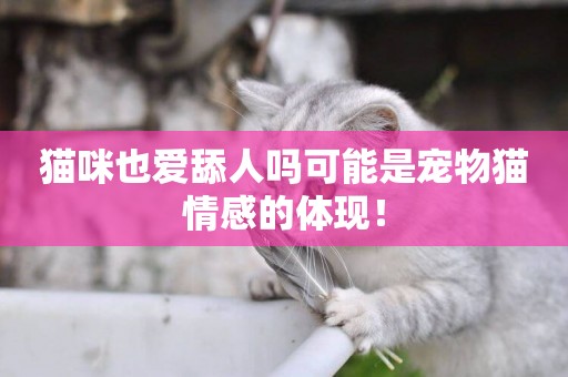 貓咪也愛舔人嗎可能是寵物貓情感的體現！