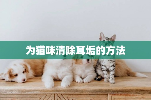 為貓咪清除耳垢的方法
