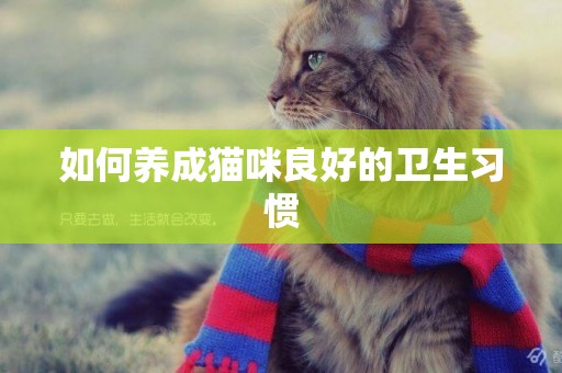 如何養成貓咪良好的衛生習慣