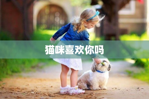 貓咪喜歡你嗎