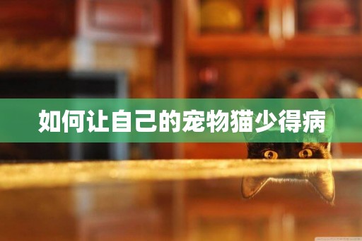 如何讓自己的寵物貓少得病