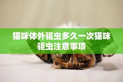 貓咪體外驅蟲多久一次貓咪驅蟲注意事項