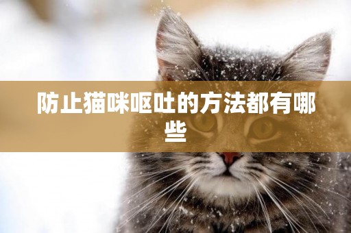 防止貓咪嘔吐的方法都有哪些