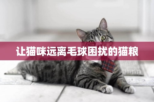 讓貓咪遠離毛球困擾的貓糧