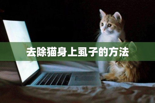 去除貓身上虱子的方法