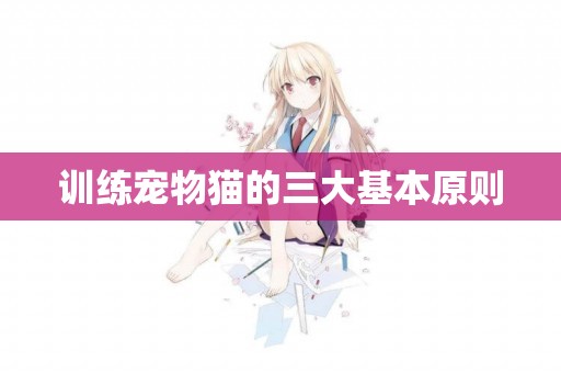 訓練寵物貓的三大基本原則