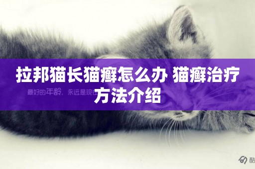 拉邦貓長貓癬怎么辦 貓癬治療方法介紹