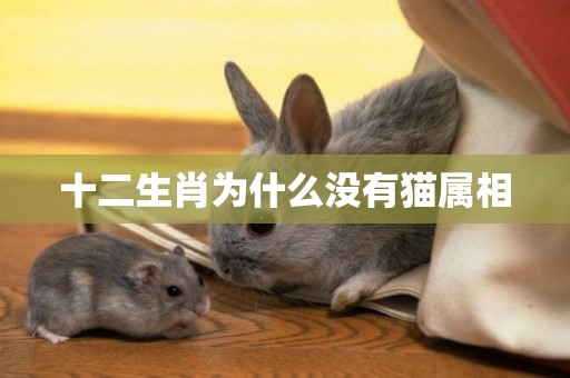 十二生肖為什么沒有貓屬相