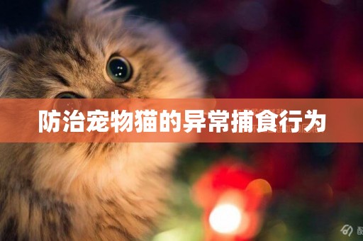 防治寵物貓的異常捕食行為