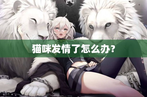 貓咪發情了怎么辦？