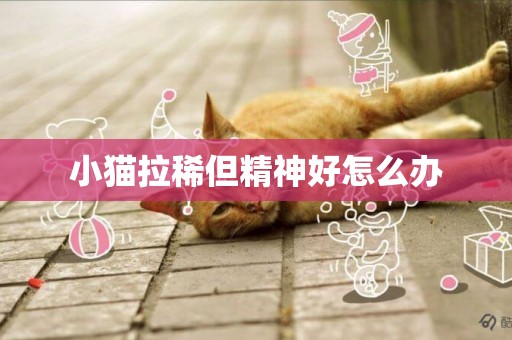小貓拉稀但精神好怎么辦
