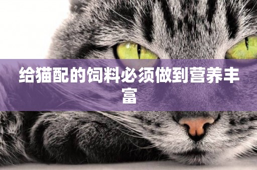 給貓配的飼料必須做到營養豐富