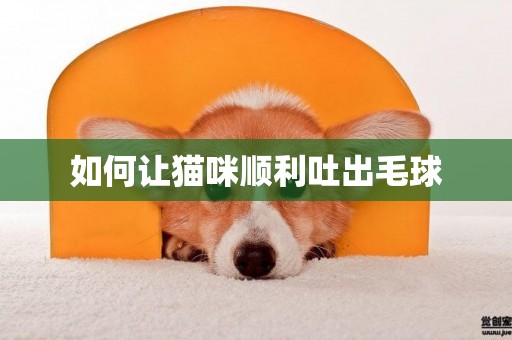 如何讓貓咪順利吐出毛球