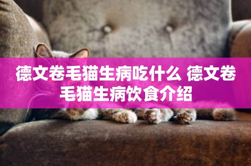 德文卷毛貓生病吃什么 德文卷毛貓生病飲食介紹