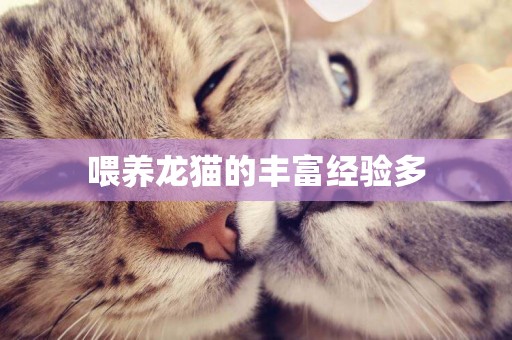 喂養龍貓的豐富經驗多